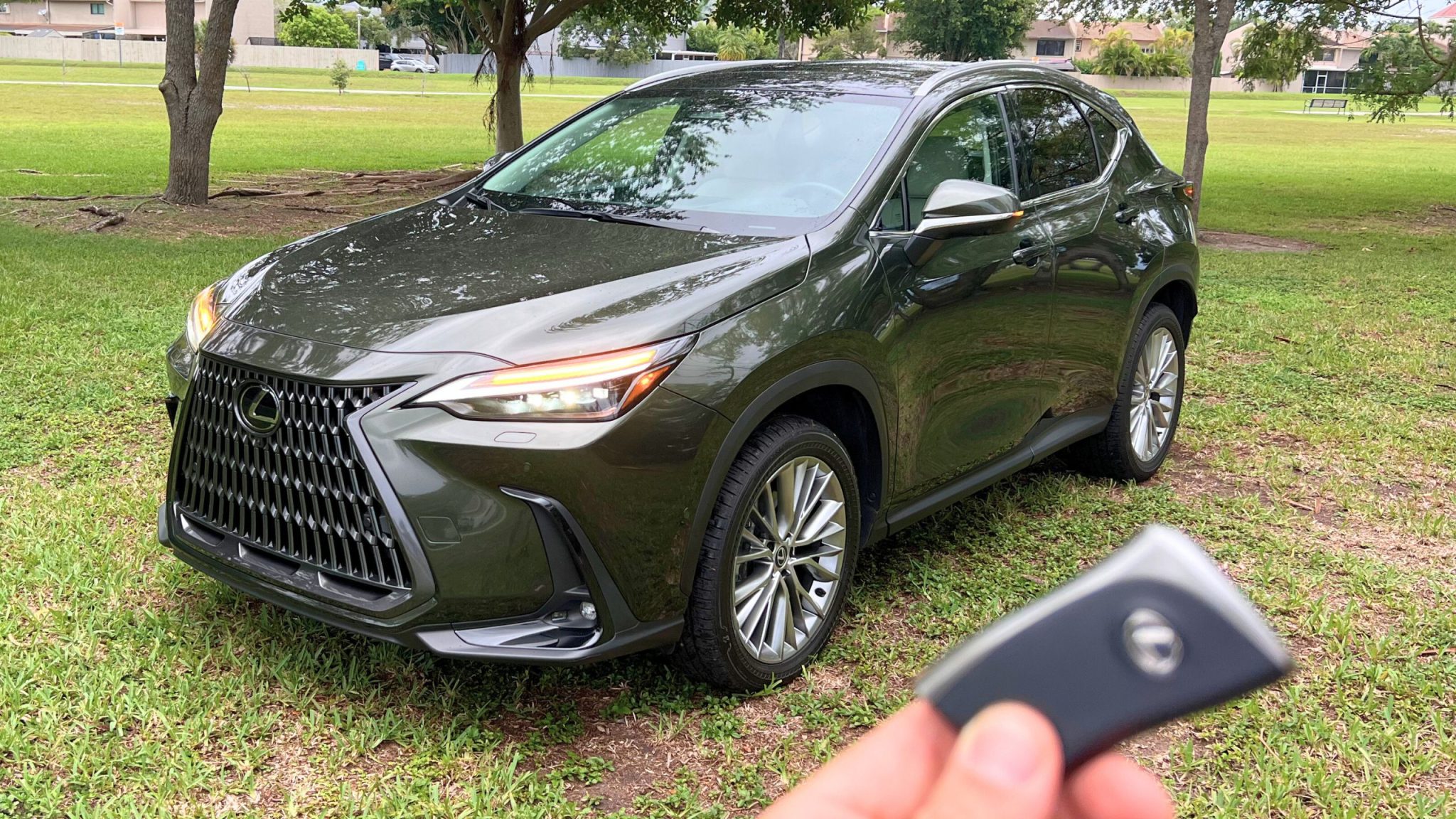 Lexus NX350h 2025