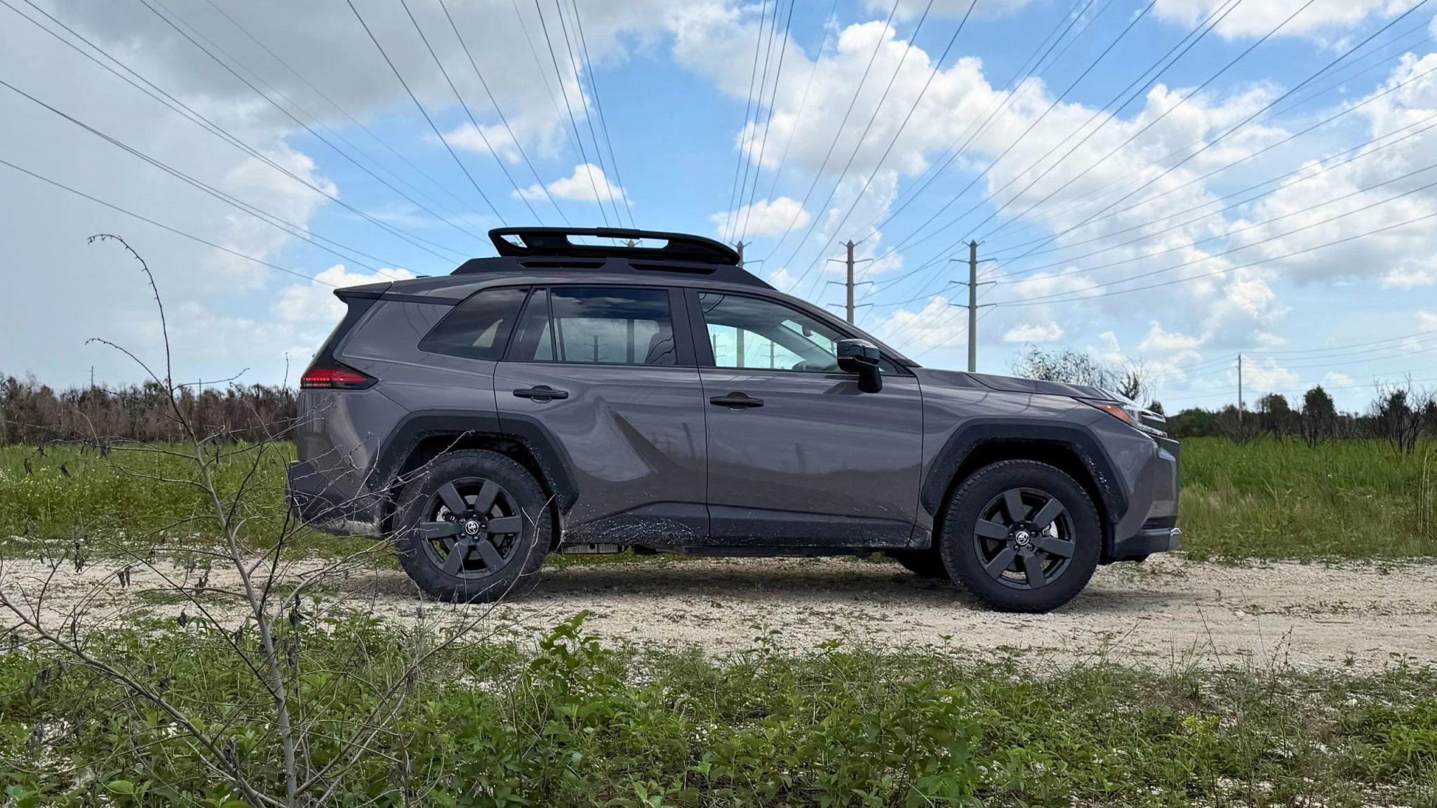 Toyota RAV4 Woodland 2026