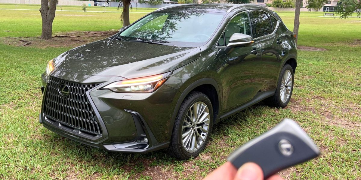 Lexus NX350h 2025